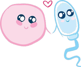 Donación de Óvulos y Esperma