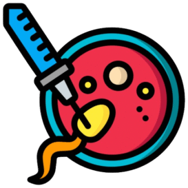 FIV y Creación de Embriones